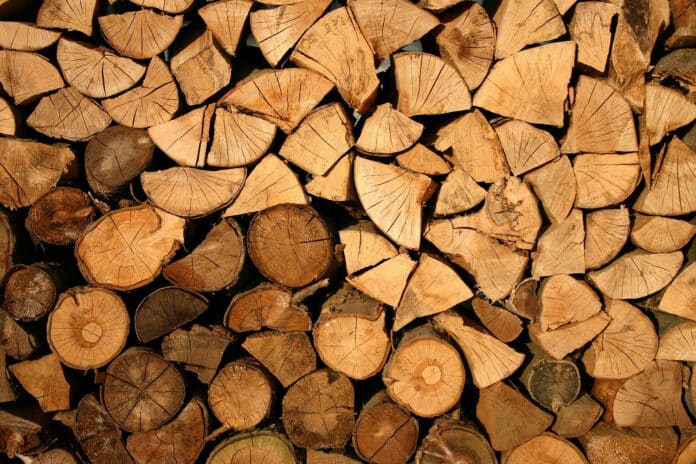 Scientists produce electricity from wood.