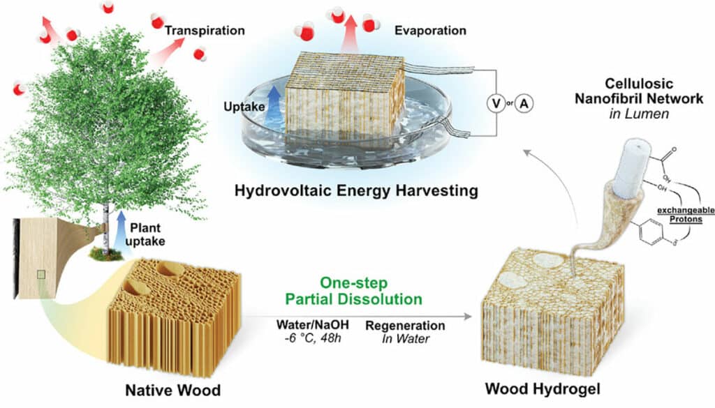 Schematic of the formation of wood power generators.