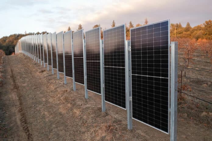 Sunzaun's bifacial vertical solar panels are specially designed for farms.