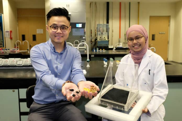 Asst Prof Edison Ang Huixiang (L) and his PhD student, Marliyana Aizudin (R) who has assisted the Asst Prof Edison with the work.