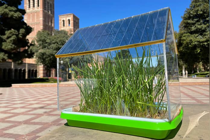 A miniature greenhouse prototype with its roof built of semi-transparent solar cells.