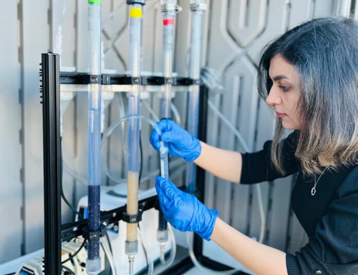 Fatemeh Asadi Zeidabadi, a PhD student in the UBC department of chemical and biological engineering and a student in Dr. Madjid Mohseni's group.