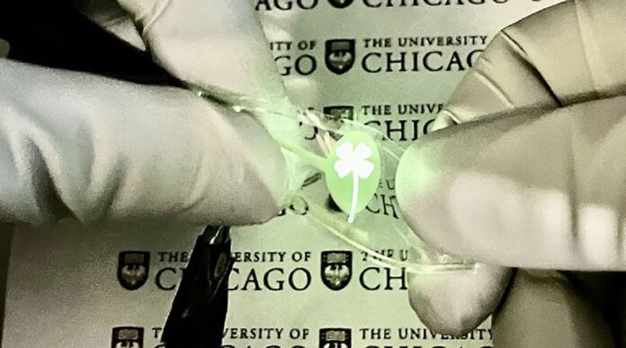 Researchers developed high-efficiency stretchable light-emitting material for flexible screens.