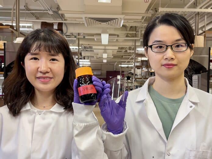 Postdoctoral researcher Jinhyo Hwang (left) and graduate student Zhifan Ke with their transparent conductors.