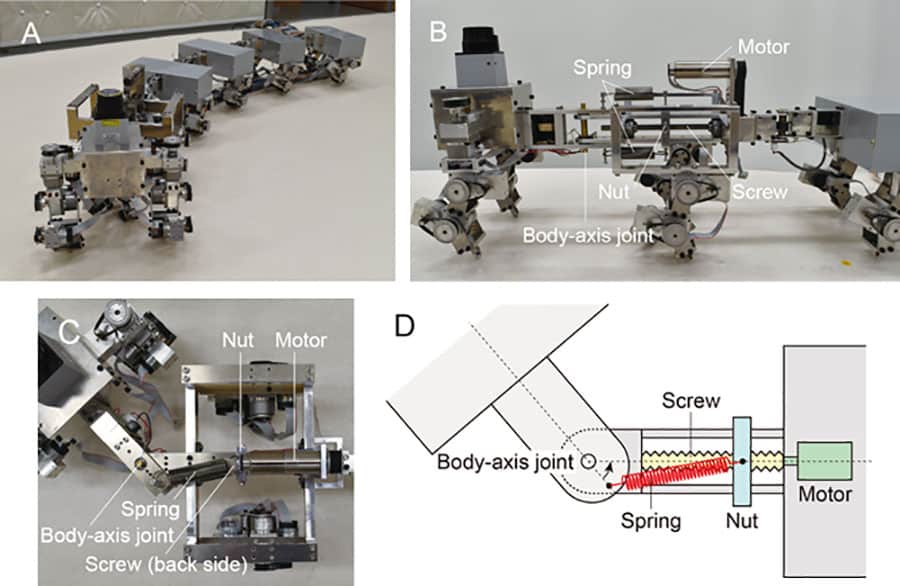 Myriapod robot (A) and Variable body-axis flexibility mechanism.