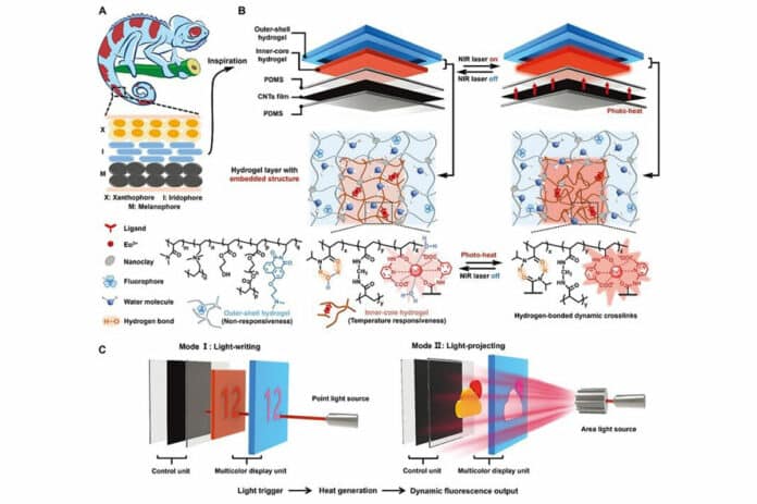 Multicolor fluorescent hydrogel system with biomimetic vertical multilayer structure for on-demand information display.