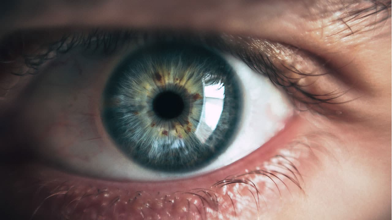 Perangkat baru membuat gambar dengan mensimulasikan mata manusia