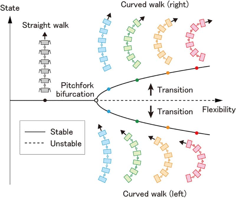 Stable and unstable walking patterns depending on the body-axis flexibility.