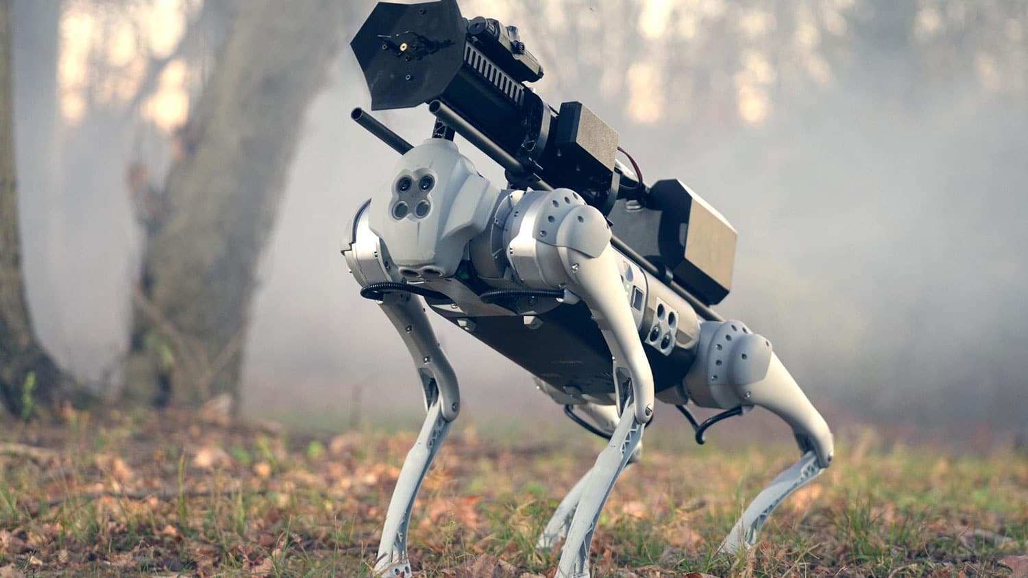 Meet Thermonator, the first-ever flamethrower-wielding robot dog.
