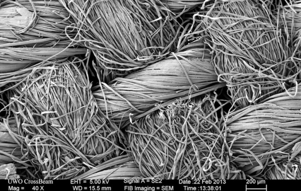 Scanning electron microscope view of test textles.