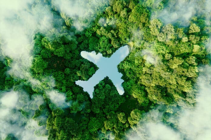 Image shows the shape of an airplane in the middle of untouched nature.