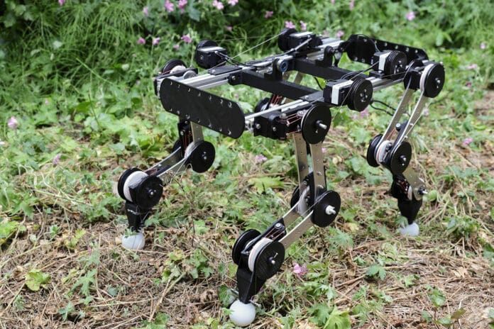 Bio-inspired robot dog that can run by itself once set in motion, without activating his motors.