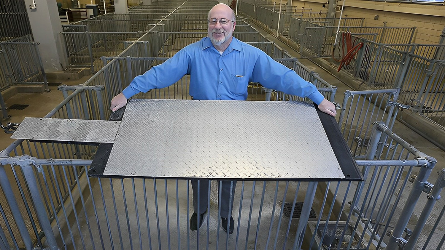 Purdue professor Robert M. Stwalley III shows a cooling pad designed to keep hogs cool.