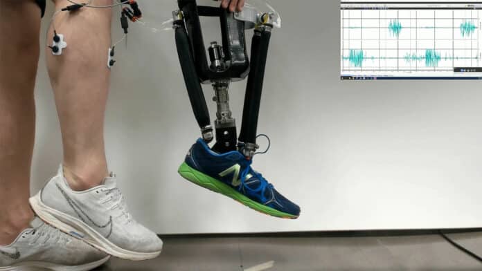Demonstration of the robotic prosthetic ankle. The graph (right) shows the electromyographic signal, which is used to control the prosthesis.