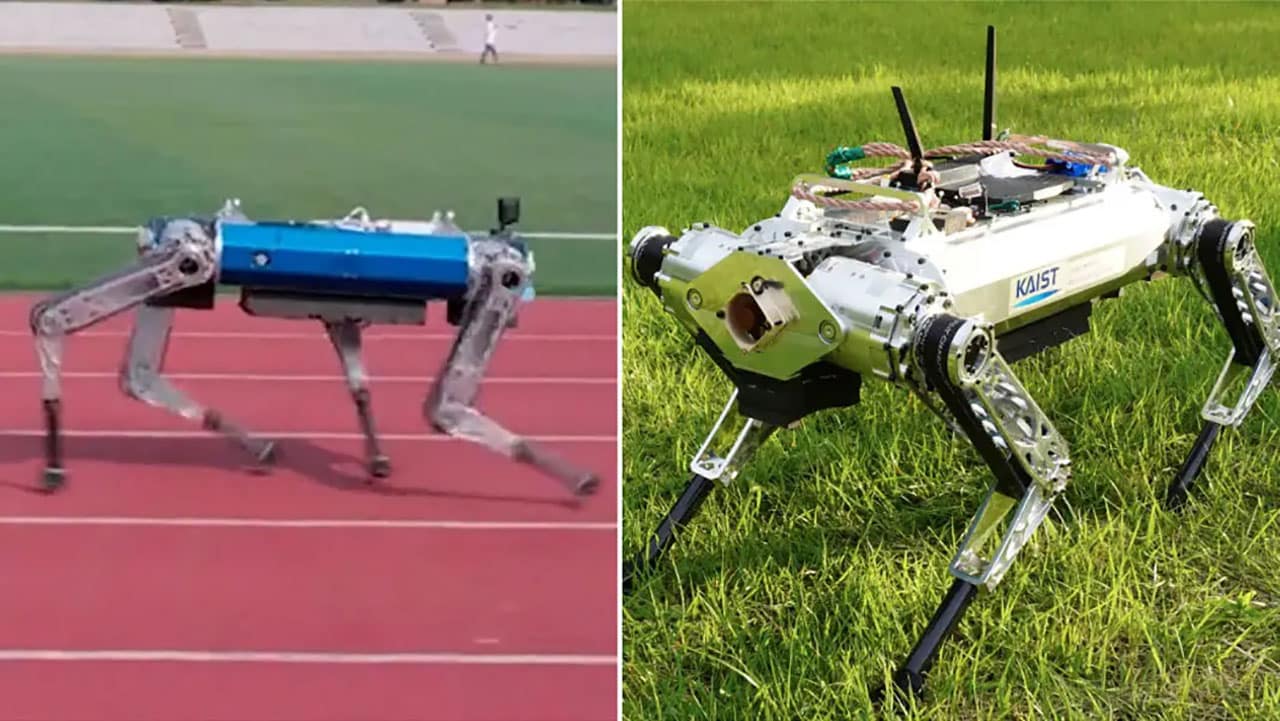 Robo-dog named “HOUND” sets 100-metre robot sprint record.