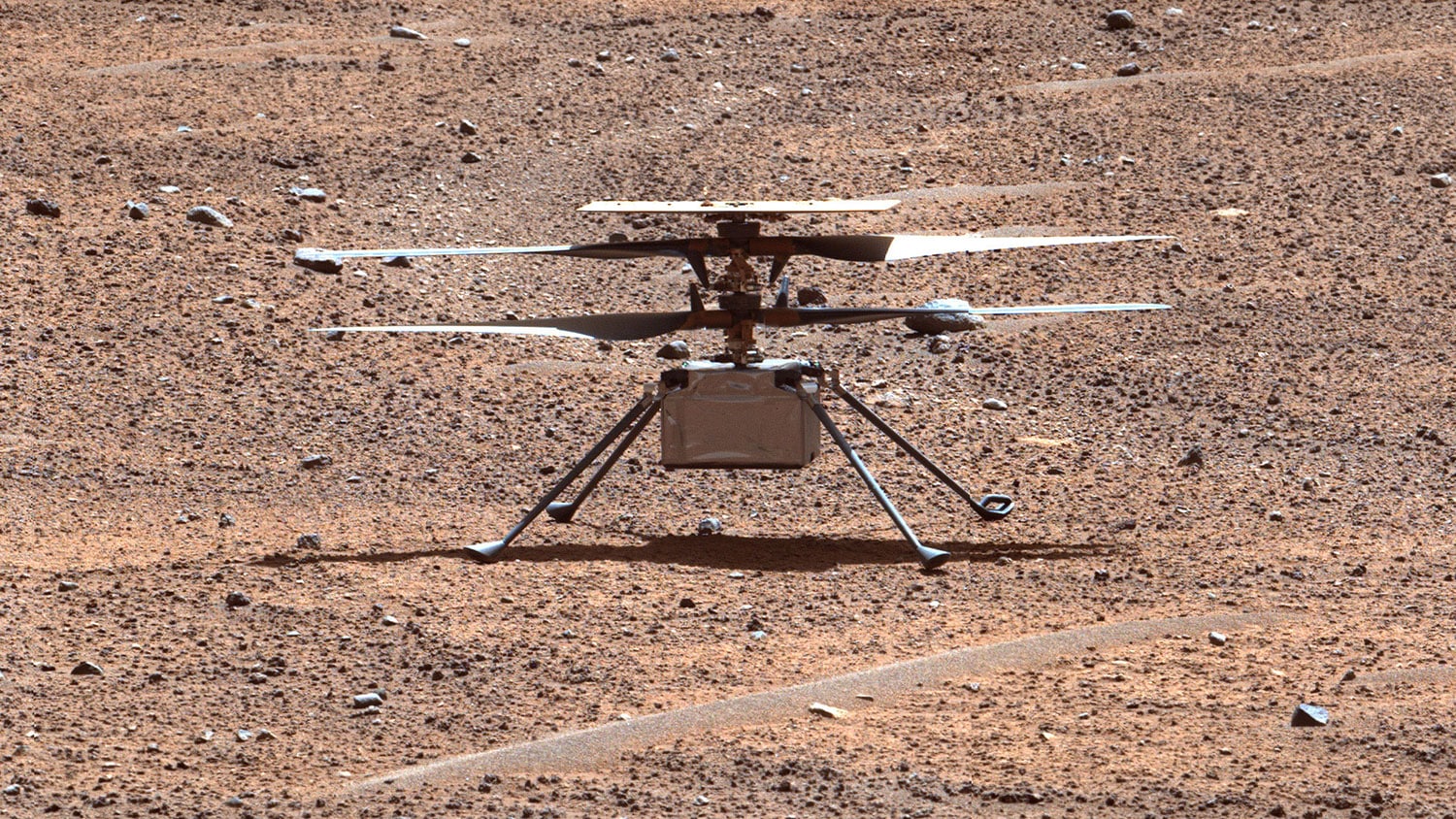 NASA’s Ingenuity Mars Helicopter is seen Aug. 2, 2023, in an enhanced-color image captured by the Mastcam-Z instrument aboard the agency’s Perseverance Mars rover.