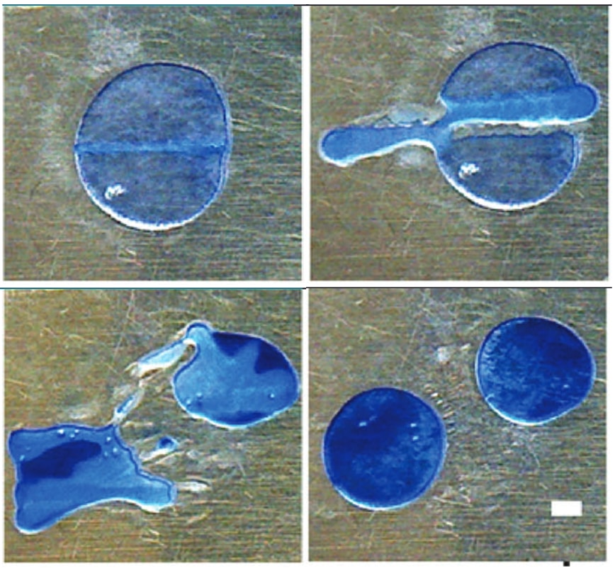 Clockwise from top left, a blob of paraffin in four stages of becoming two.