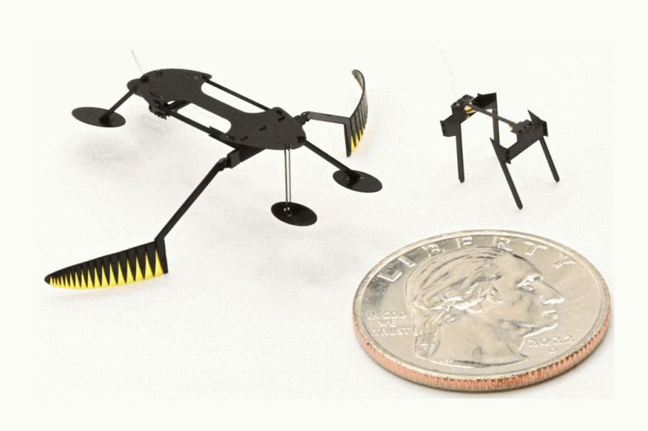 Tiny, fully-functional WaterStrider and MiniBug robots.
