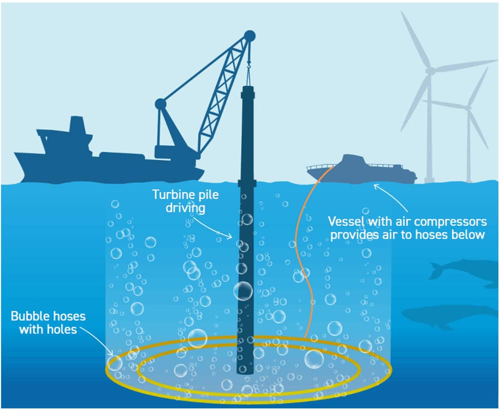 Bubble curtains reduce noise from turbine construction.