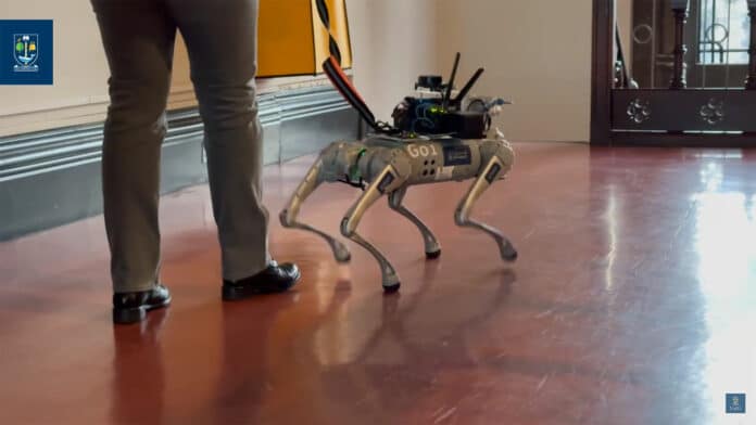 Chatty robot guide dogs help visually impaired find their way.