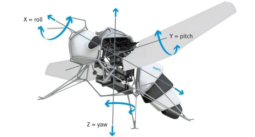 The bee’s body forms the compact housing for the beating wing mechanism