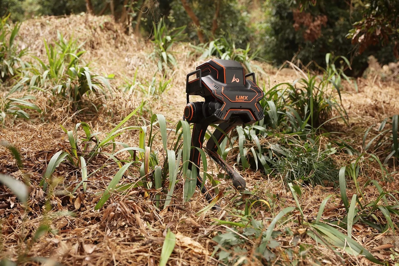 LimX Dynamics’ Biped Robot P1 Climbing Grass Hills.