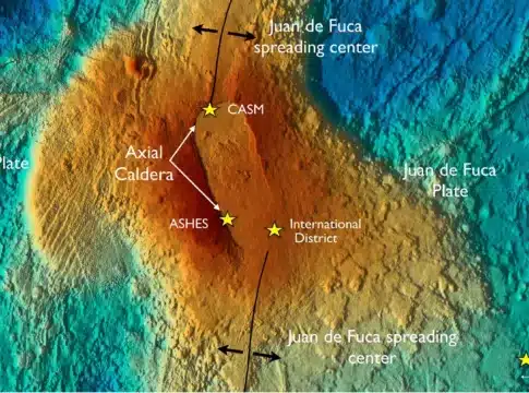 Axial Seamount features a large caldera on the seafloor, formed by the collapse of its magma chamber. Credit: Deborah Kelley