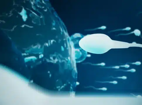 Sperm and egg cell, ovum
